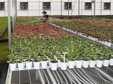 ����\�WƬ�̶��紲